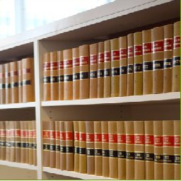 Litigation